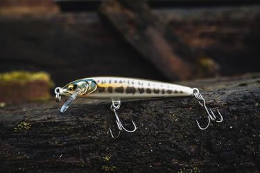 Rapala-VMC