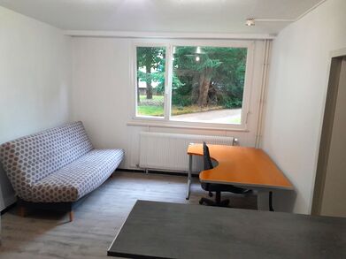 Richelieu 3ème studio Meublé